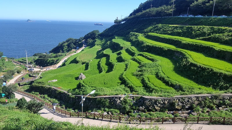 남해 다랭이마을